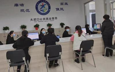 一超六特 務(wù)實(shí)苦干 2021年大武口區(qū)就業(yè)創(chuàng)業(yè)工作成效顯著